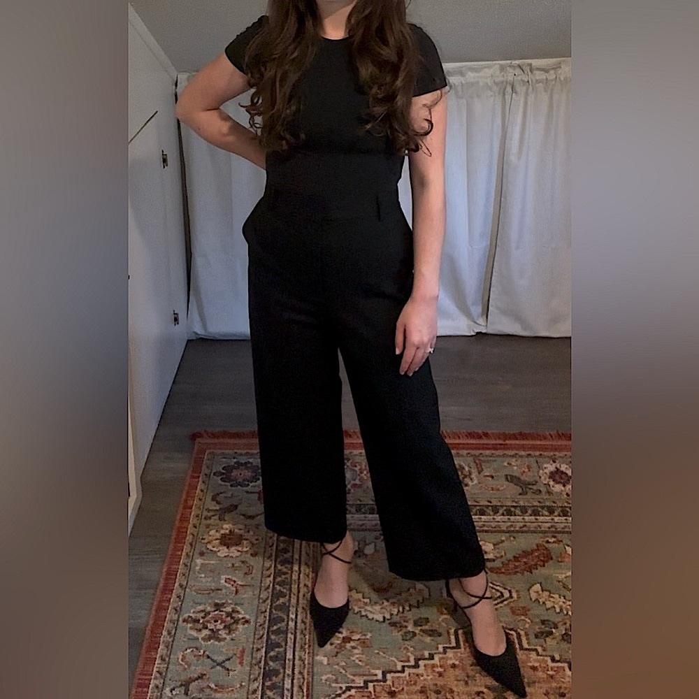 Aritzia Babaton Agency Cropped Pant in City Wool
